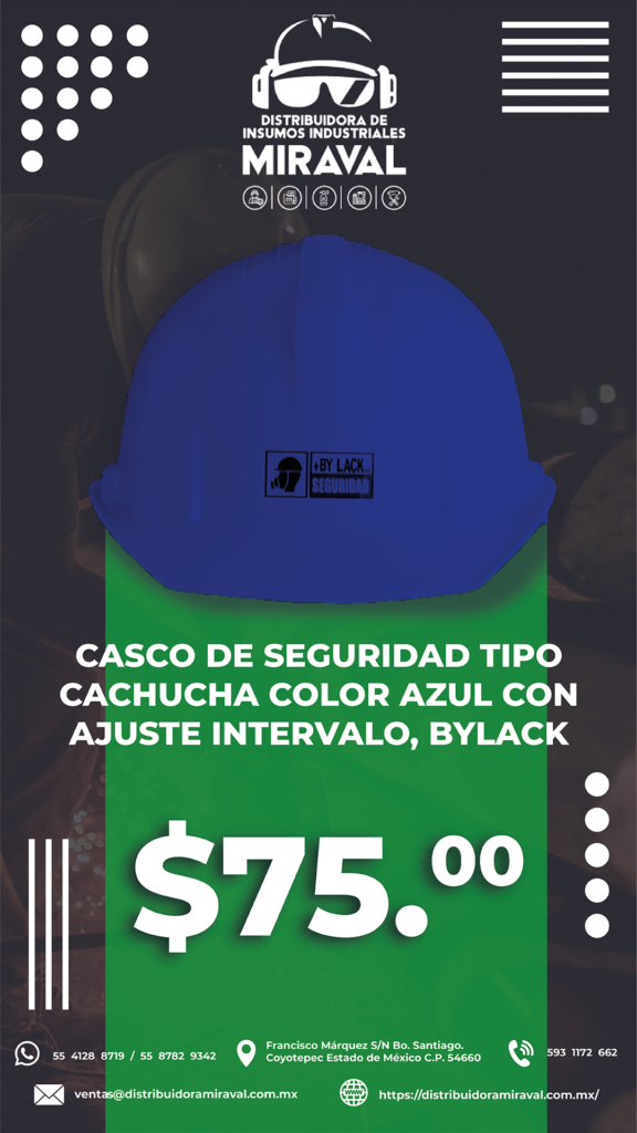 Casco 2